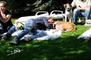 Anglo_Treffen_Bassi_125