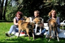 Anglo_Treffen_Bassi_130