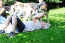 Anglo_Treffen_Bassi_149
