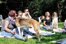 Anglo_Treffen_Bassi_162
