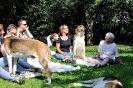 Anglo_Treffen_Bassi_163