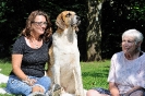 Anglo_Treffen_Bassi_166