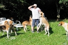 Anglo_Treffen_Bassi_220