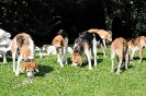 Anglo_Treffen_Bassi_229