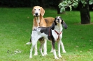 Anglo_Treffen_Bassi_245