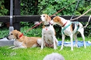 Anglo Treffen in Viersen_104