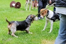 Anglo Treffen in Viersen_105