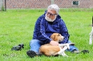 Anglo Treffen in Viersen_106