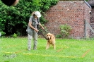 Anglo Treffen in Viersen_107