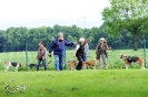 Anglo Treffen in Viersen_10