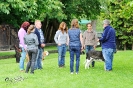 Anglo Treffen in Viersen_112