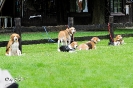 Anglo Treffen in Viersen_113