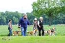 Anglo Treffen in Viersen_11