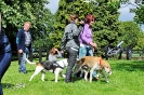 Anglo Treffen in Viersen_121