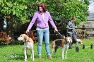 Anglo Treffen in Viersen_122