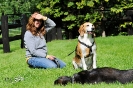 Anglo Treffen in Viersen_123