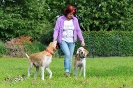 Anglo Treffen in Viersen_127
