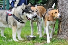 Anglo Treffen in Viersen_12