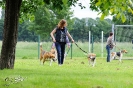 Anglo Treffen in Viersen_15