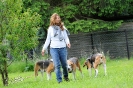 Anglo Treffen in Viersen_15