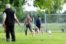 Anglo Treffen in Viersen_17