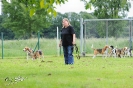 Anglo Treffen in Viersen_19
