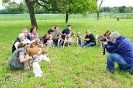 Anglo Treffen in Viersen_1