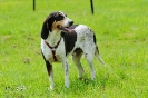 Anglo Treffen in Viersen_1