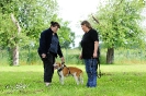 Anglo Treffen in Viersen_22