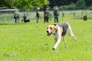 Anglo Treffen in Viersen_26