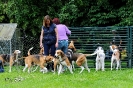 Anglo Treffen in Viersen_343