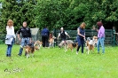 Anglo Treffen in Viersen_344