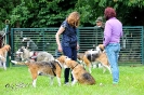 Anglo Treffen in Viersen_345