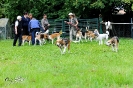 Anglo Treffen in Viersen_348