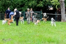 Anglo Treffen in Viersen_349