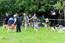 Anglo Treffen in Viersen_350