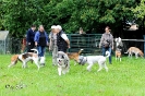 Anglo Treffen in Viersen_351