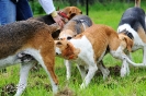 Anglo Treffen in Viersen_360