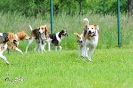 Anglo Treffen in Viersen_389