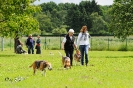 Anglo Treffen in Viersen_38
