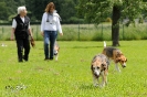 Anglo Treffen in Viersen_39