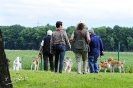 Anglo Treffen in Viersen_3