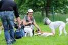 Anglo Treffen in Viersen_419