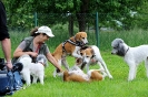 Anglo Treffen in Viersen_420