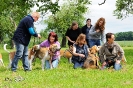 Anglo Treffen in Viersen_423
