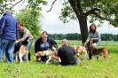 Anglo Treffen in Viersen_425