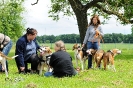 Anglo Treffen in Viersen_426