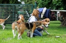 Anglo Treffen in Viersen_50