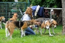 Anglo Treffen in Viersen_51