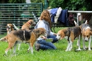 Anglo Treffen in Viersen_52